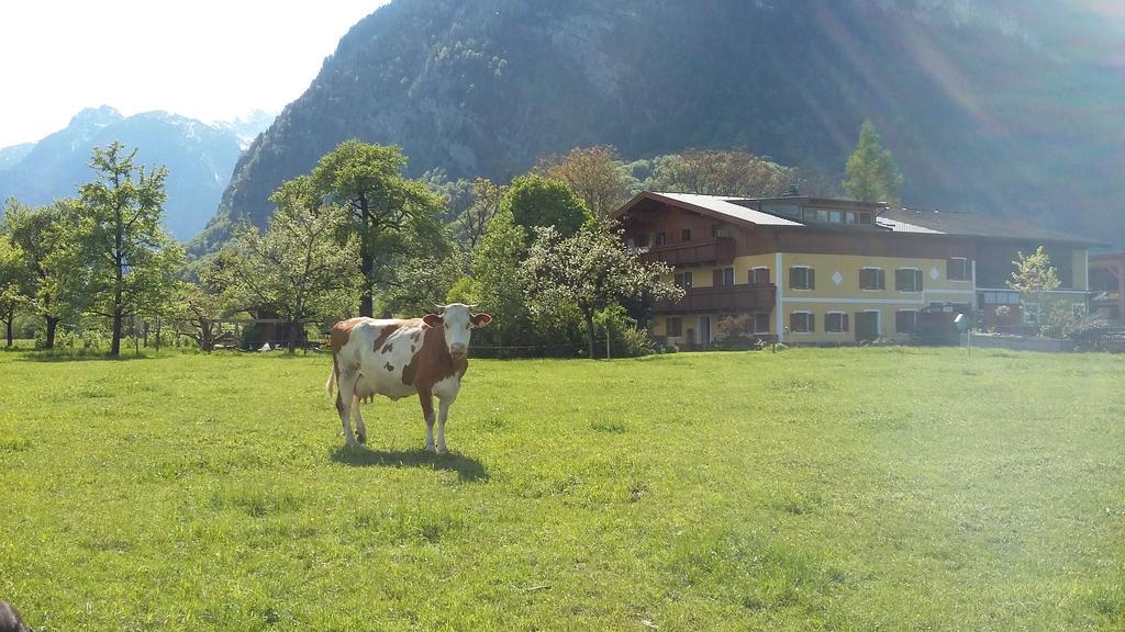 Starbauer Appartement Golling an der Salzach Buitenkant foto