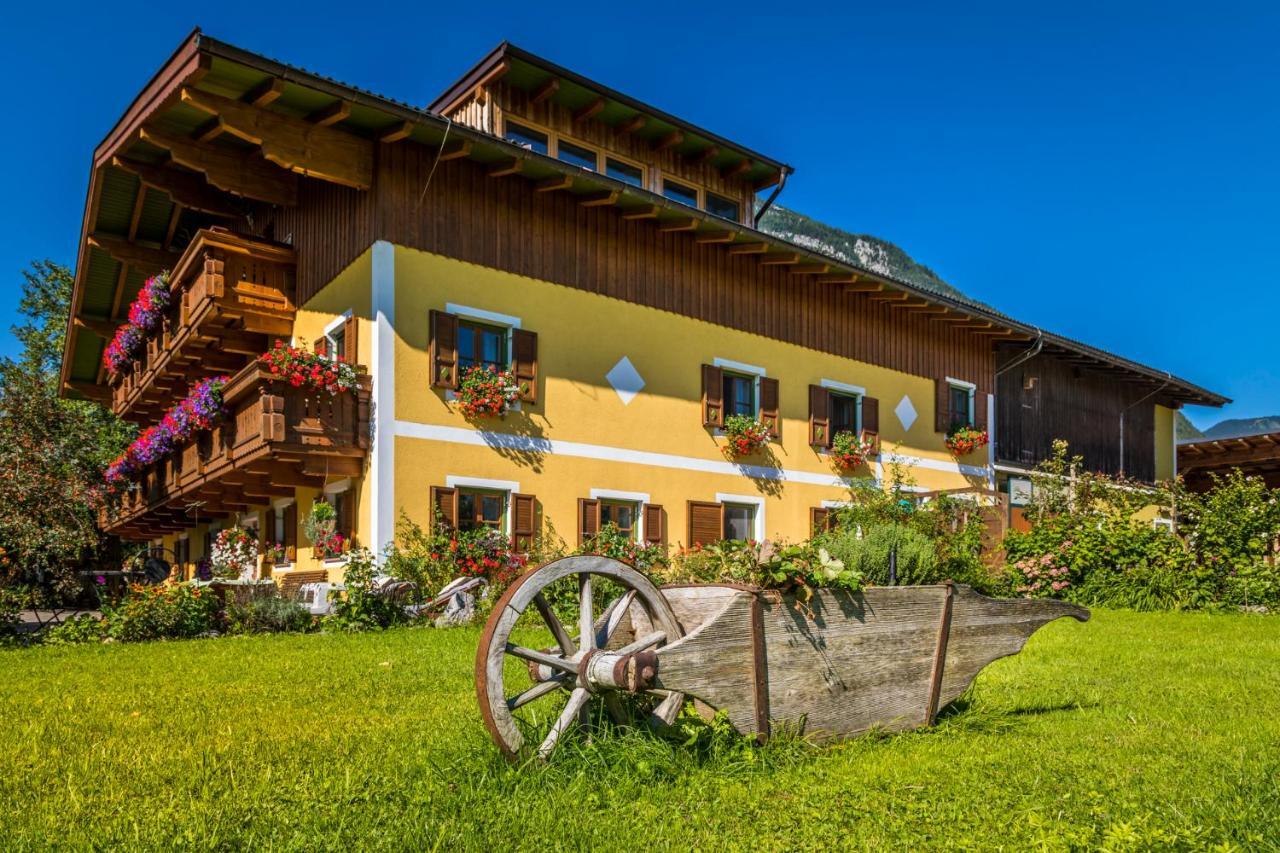 Starbauer Appartement Golling an der Salzach Buitenkant foto